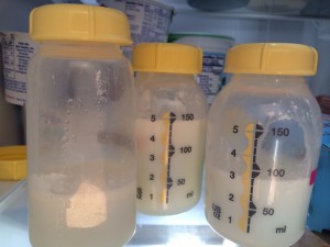3 Medela bottles with breast milk in them in a fridge