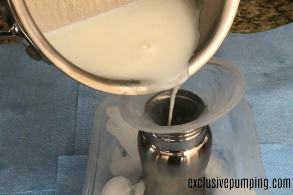 Pour scalded milk in stainless steel bottle
