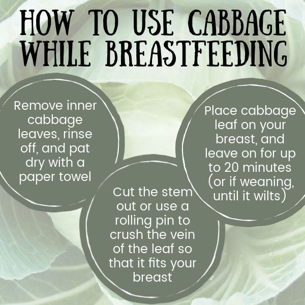 Cabbage as image background with text overlay: How to Use Cabbage Leaves While Breastfeeding | Remove inner cabbage leaves, rinse off, and pat dry with a paper towel | Cut the stem out or use a rolling pin to crush the vein of the leaf so that it fits your breast | Place cabbage leaf on your breast, and leave on for up to 20 minutes (or if weaning, until it wilts)