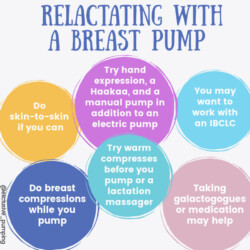 Relactation Can Breast Milk Come Back? Relactation Pumping Schedules