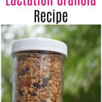 The Best Healthy Lactation Granola Recipe