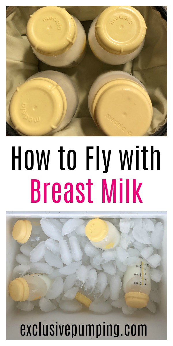 An Exhaustive Guide to Traveling with Breast Milk Exclusive Pumping