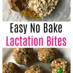 Easy No Bake Lactation Bites