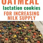 Monster Oatmeal Lactation Cookies for Increasing Milk Supply