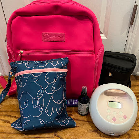 Breast Pump Bag Must Haves: Ultimate list of pumping essentials to get you  back to work! 
