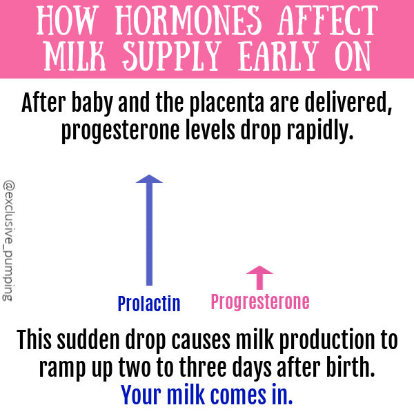 How Hormones Affect Milk Supply Early On | After baby and the placenta are delivered, progesterone levels drop rapidly. This sudden drop causes milk production to ramp up two to three days after birth. Your milk comes in. | blue arrow label prolactin that goes up high; pink arrow labeled progesterone that is much shorter