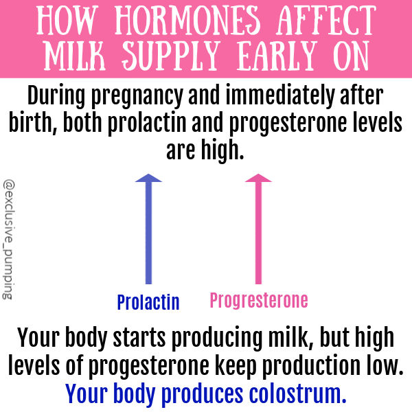 How Hormones Affect Milk Supply Early On | During pregnancy and immediately after birth, both prolactin and progesterone levels are high. Your body starts producing milk, but high levels of progesterone keep production low. Your body produces colostrum. blue arrow with label prolactin and pink arrow with label progesterone, both same height.