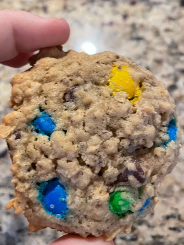 Chocolate Chip Lactaction Cookies
