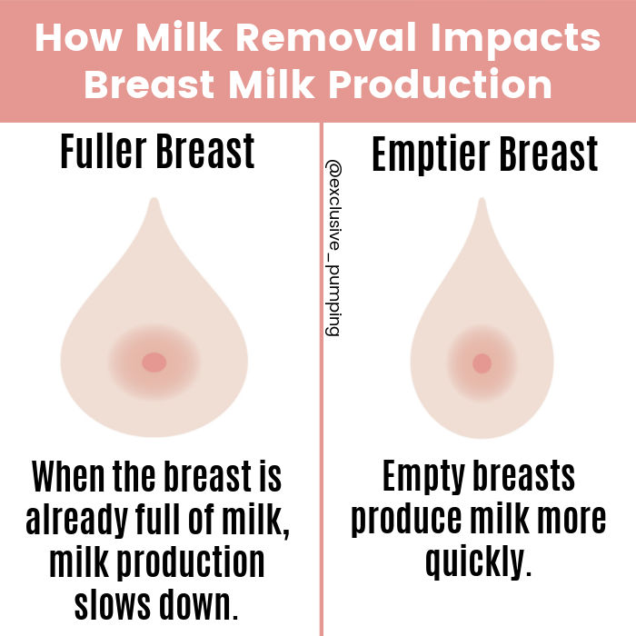 How milk removal impacts milk production. When the breast is already full of milk, milk production slows down. Empty breasts produce milk more quickly