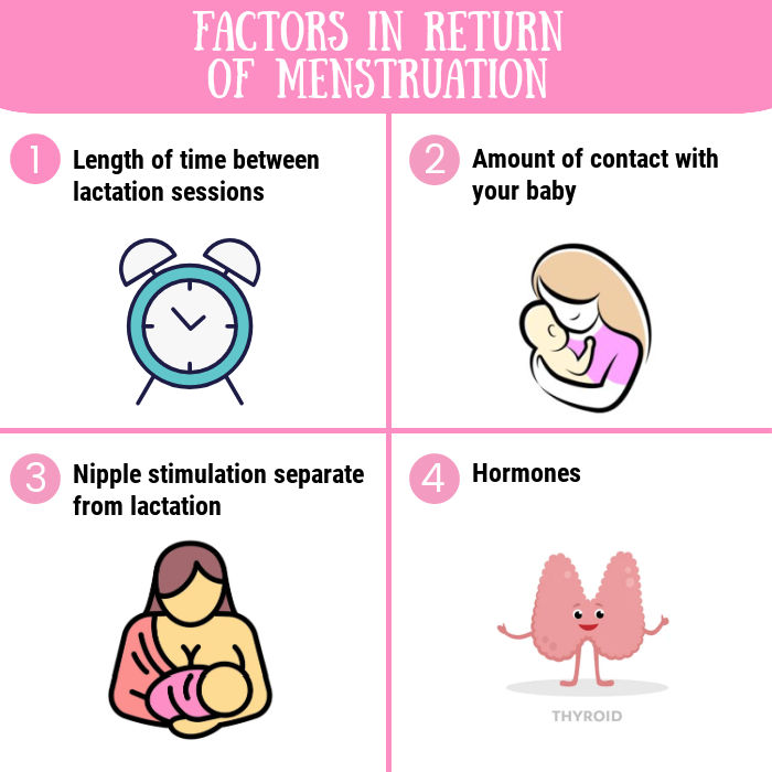 factors in the return of menstruation while breastfeeding