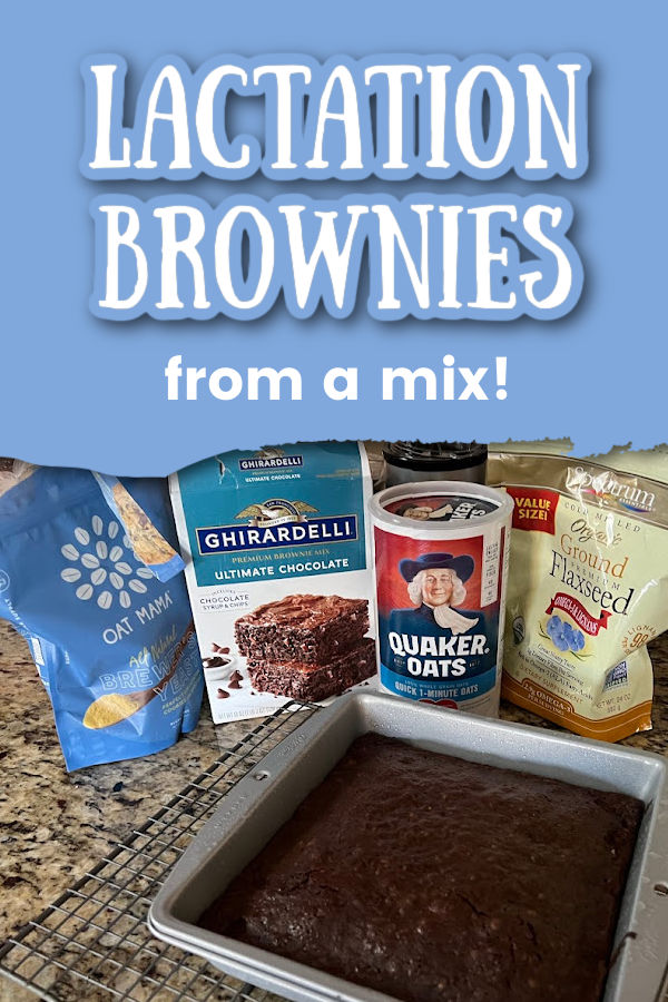 lactation brownies with text overlay lactation brownies from a mix