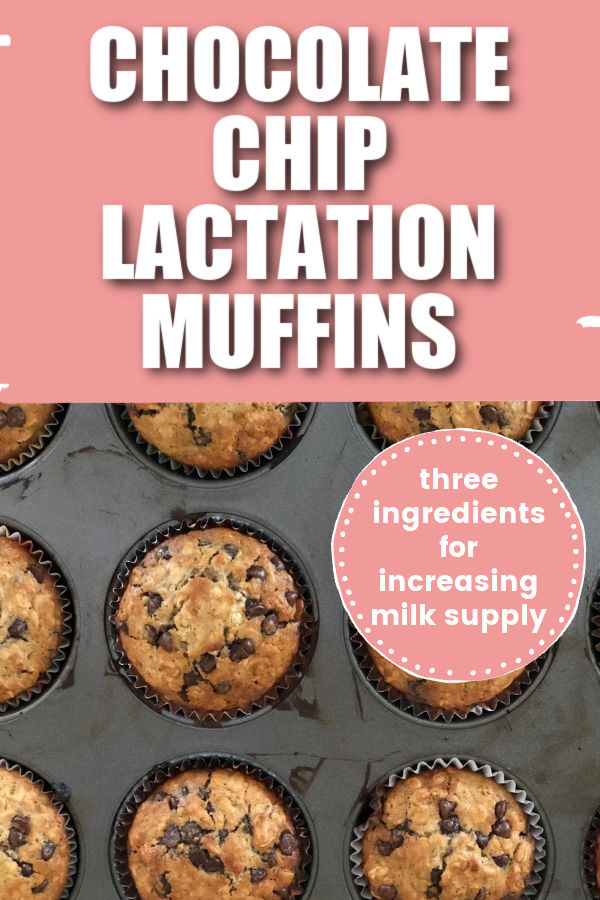 chocolate chip lactation muffins lactation recipe