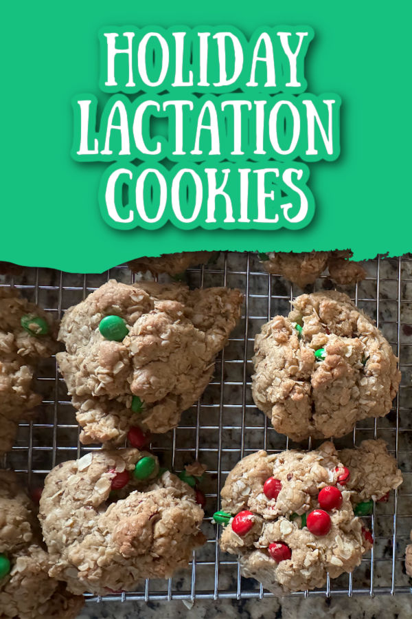 holiday lactation cookies