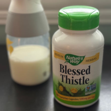 blessed thistle