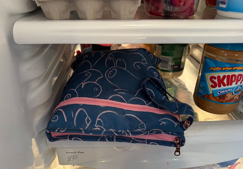 fridge hack for breast pump bags