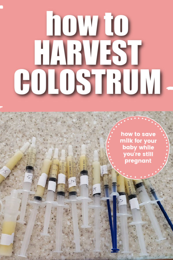 syringes filled with colostrum with text overlay how to harvest colostrum