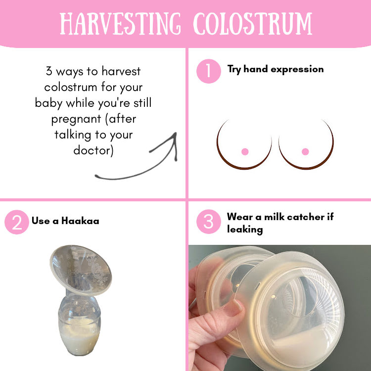3 ways to harvest colostrum