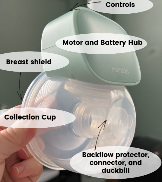 Momcozy breast pump in green with text overlay identifying the controls, motor and battery hub, breast shield, collection cup and pump parts