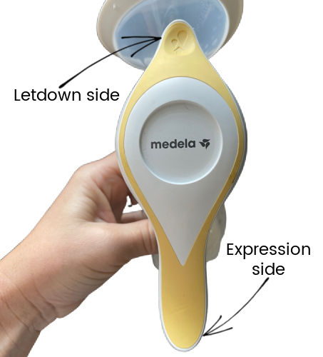overhead shot of Medela Harmony with text overlay Letdown side with arrow pointing to short end and Expression side with arrow pointing to long side