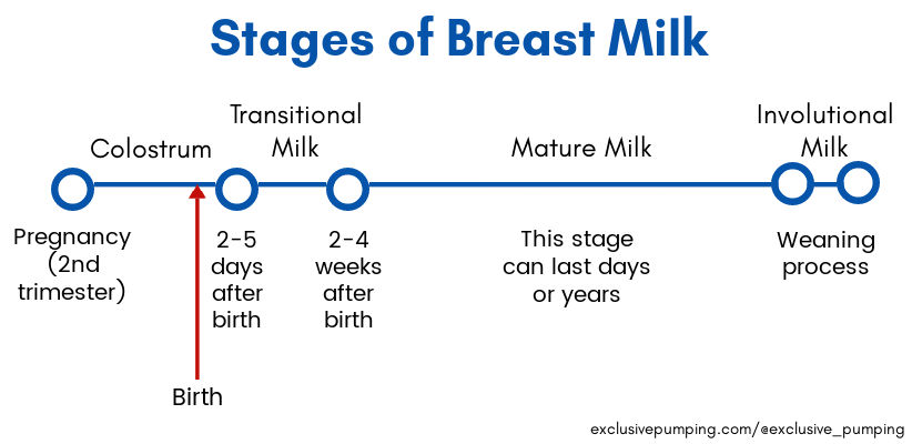 Timeline charted titles Stages of Breast Milk - first bubble titled pregnancy (second trimester) and the second bubble is titled 2-5 days after birth. There is a line pointed to a position just before the second bubble labeled "birth". In between these two bubbles is the word colostrum. The third bubble is labeled 2-4 weeks after birth. In between these two bubbles is Transitional Milk. The fourth and fifth bubbles are labeled Weaning process, and in between the third and fourth bubbles is labeled mature milk, with the note that this stage. can last days or years. Between the fourth and fifth bubbles are the words involutional milk